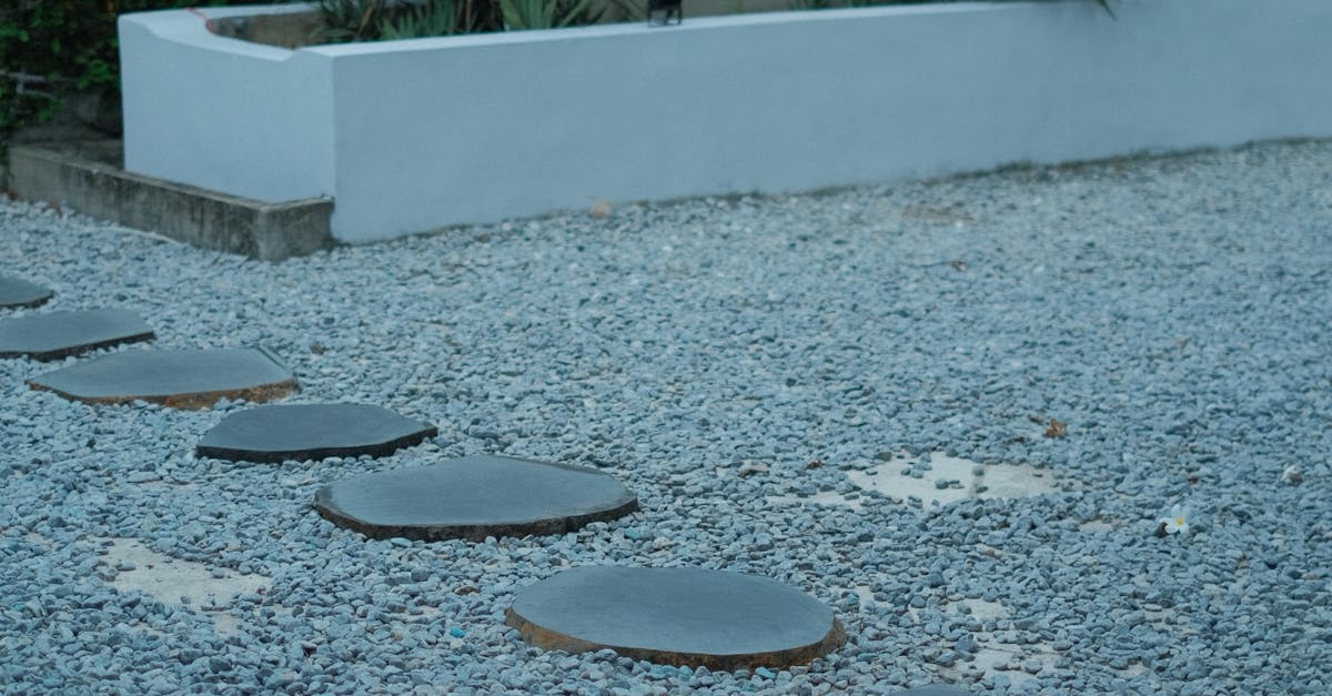 Approaches to Water Management in Vertical Gardens