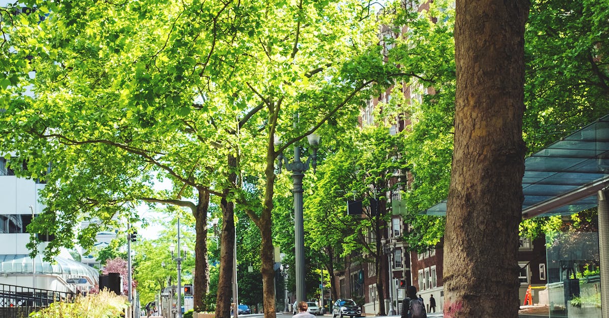 Attracting Customers with Seasonal Landscape Features