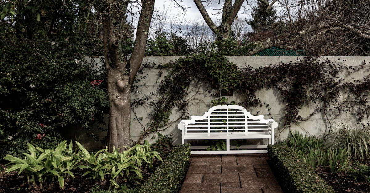 Combining Aesthetics and Functionality in Garden Pathways