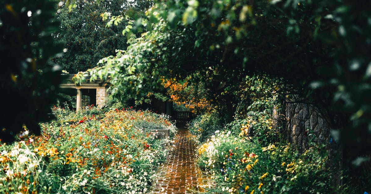 Designing Eco-Friendly Outdoor Spaces for Sustainable Living