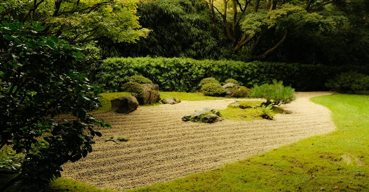 Designing Multifunctional Gardens for Australian Backyards