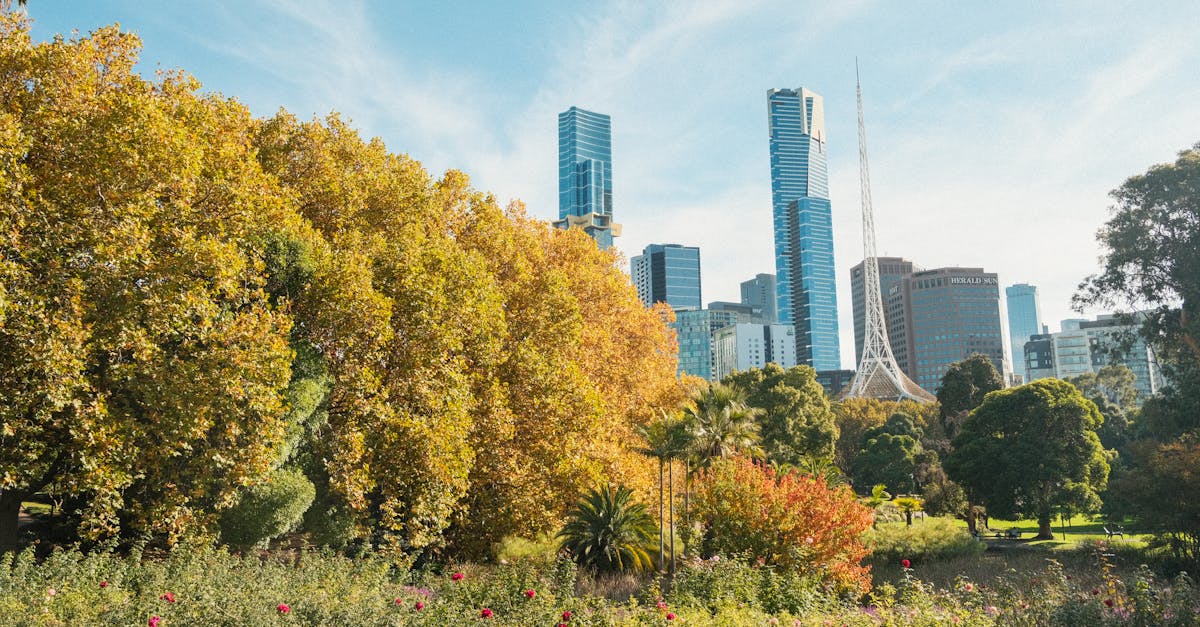 Designing Pathways with Sustainable Stone Alternatives