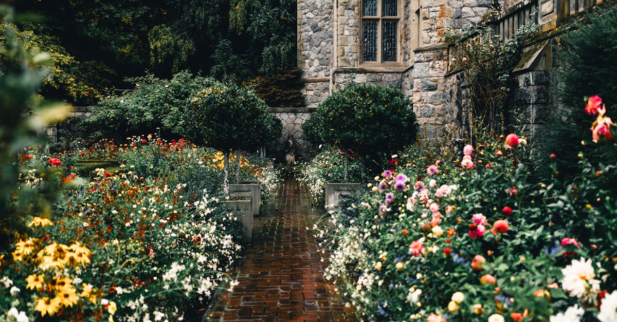 Enhancing Foot Traffic through Creative Landscaping Solutions