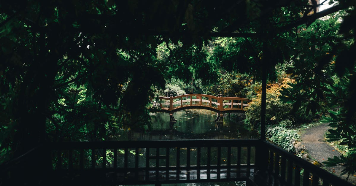 Enhancing Soil Health through Sustainable Hardscape Choices