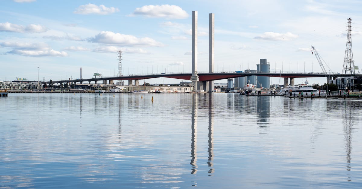Incorporating Native Flora into Suburban Garden Spaces