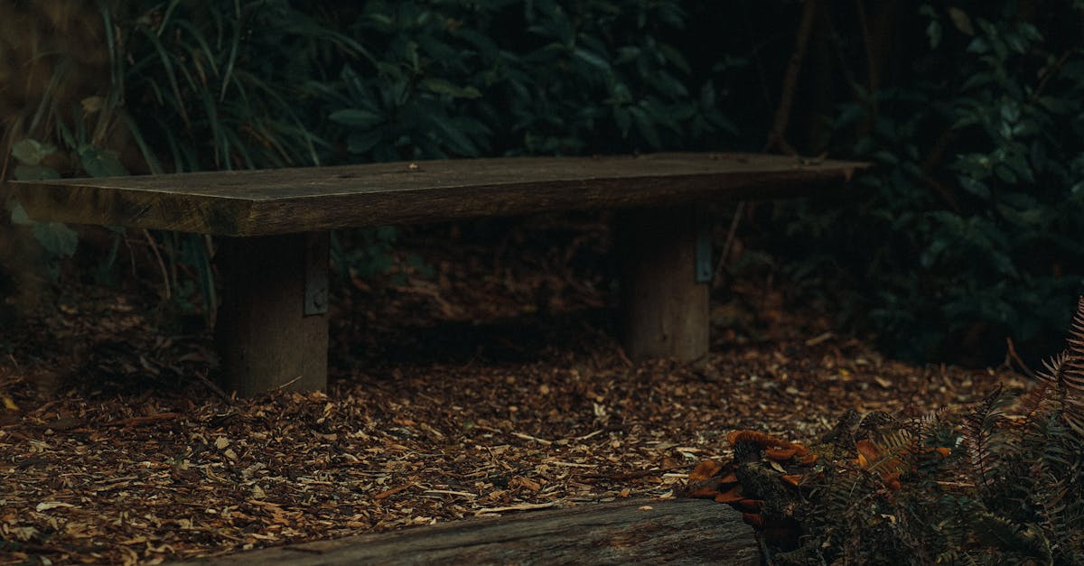 Incorporating Natural Streams into Residential Landscapes