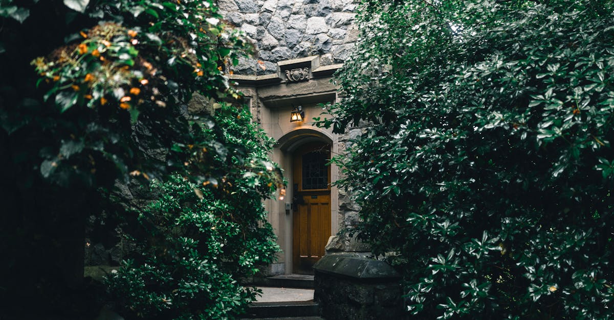 Incorporating Outdoor Kitchens into Your Landscape Design