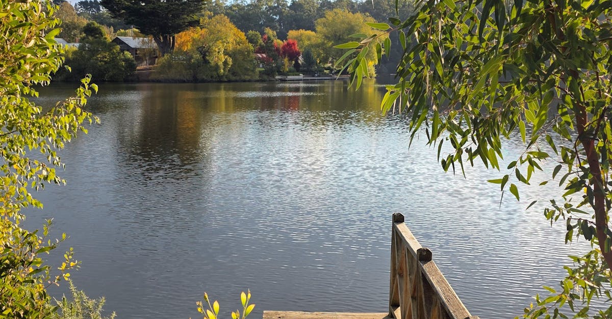 Incorporating Recycled Materials in Eco-Friendly Hardscaping