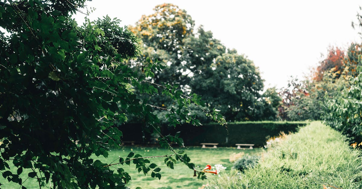 Innovative Paving Solutions for Modern Gardens in Victoria