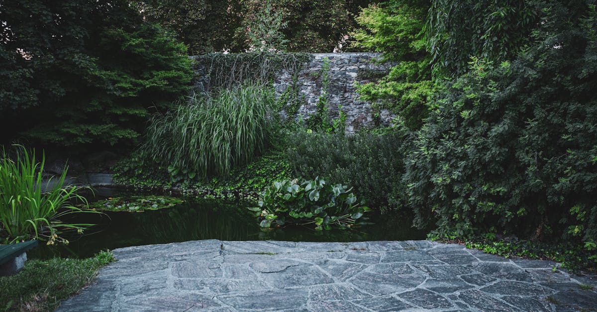 Strategies for Eco-Friendly Landscaping in Offices