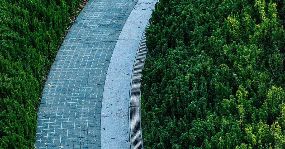 Sustainable Practices for Corporate Campus Environments