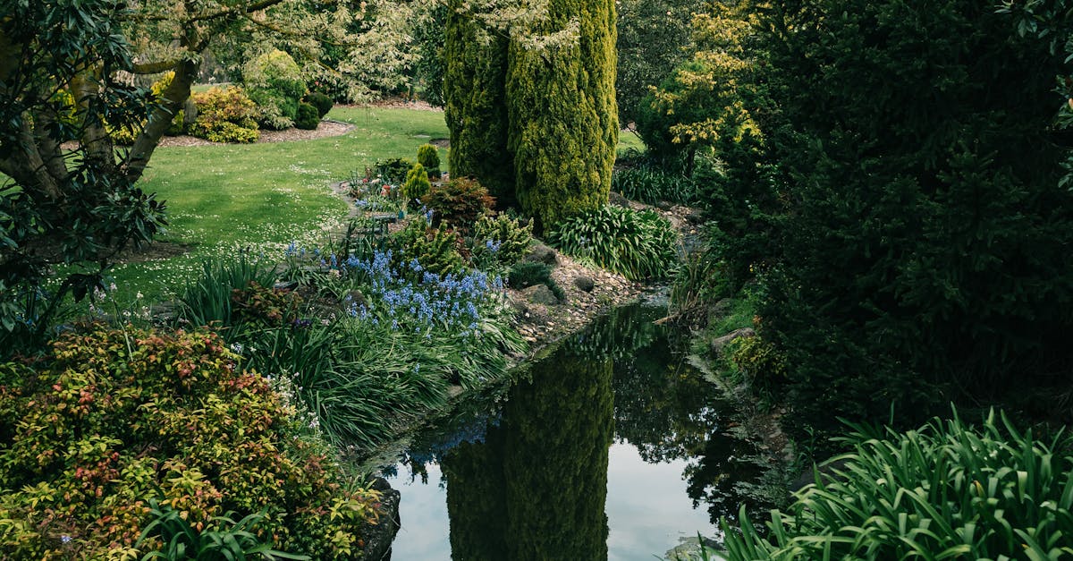 Sustainable Practices for Retail Landscape Design