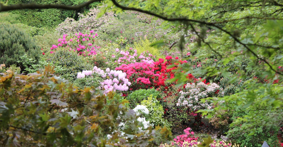 The Benefits of Greywater Recycling in Residential Landscape Design