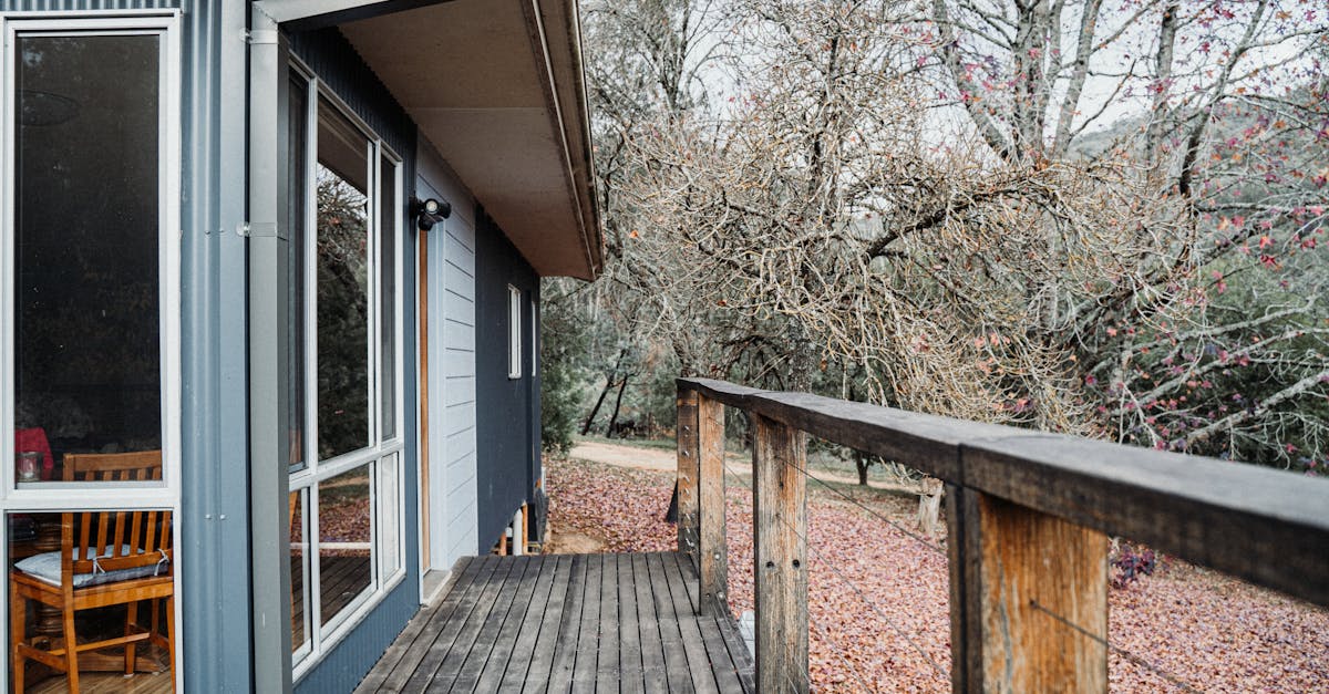 The Impact of Mulching on Soil Biodiversity