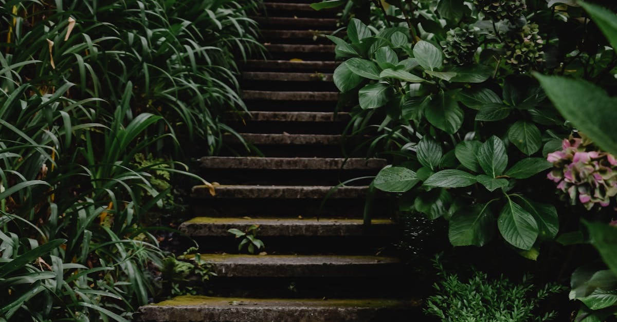 Tips for Seamless Indoor-Outdoor Living Transitions